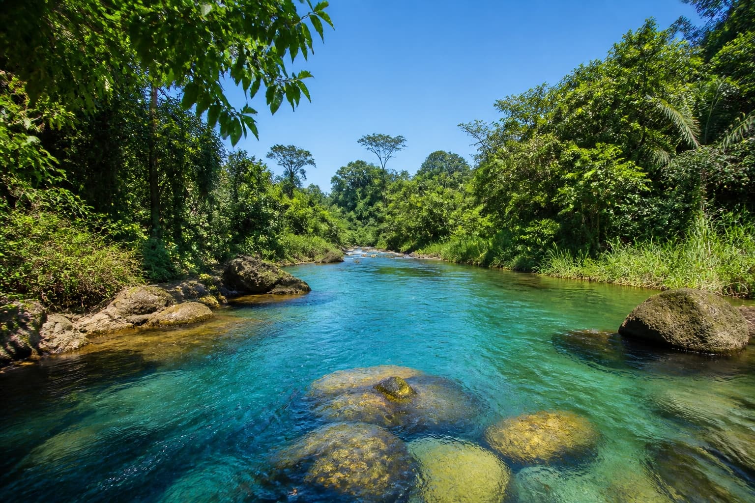 Rivière tropicale