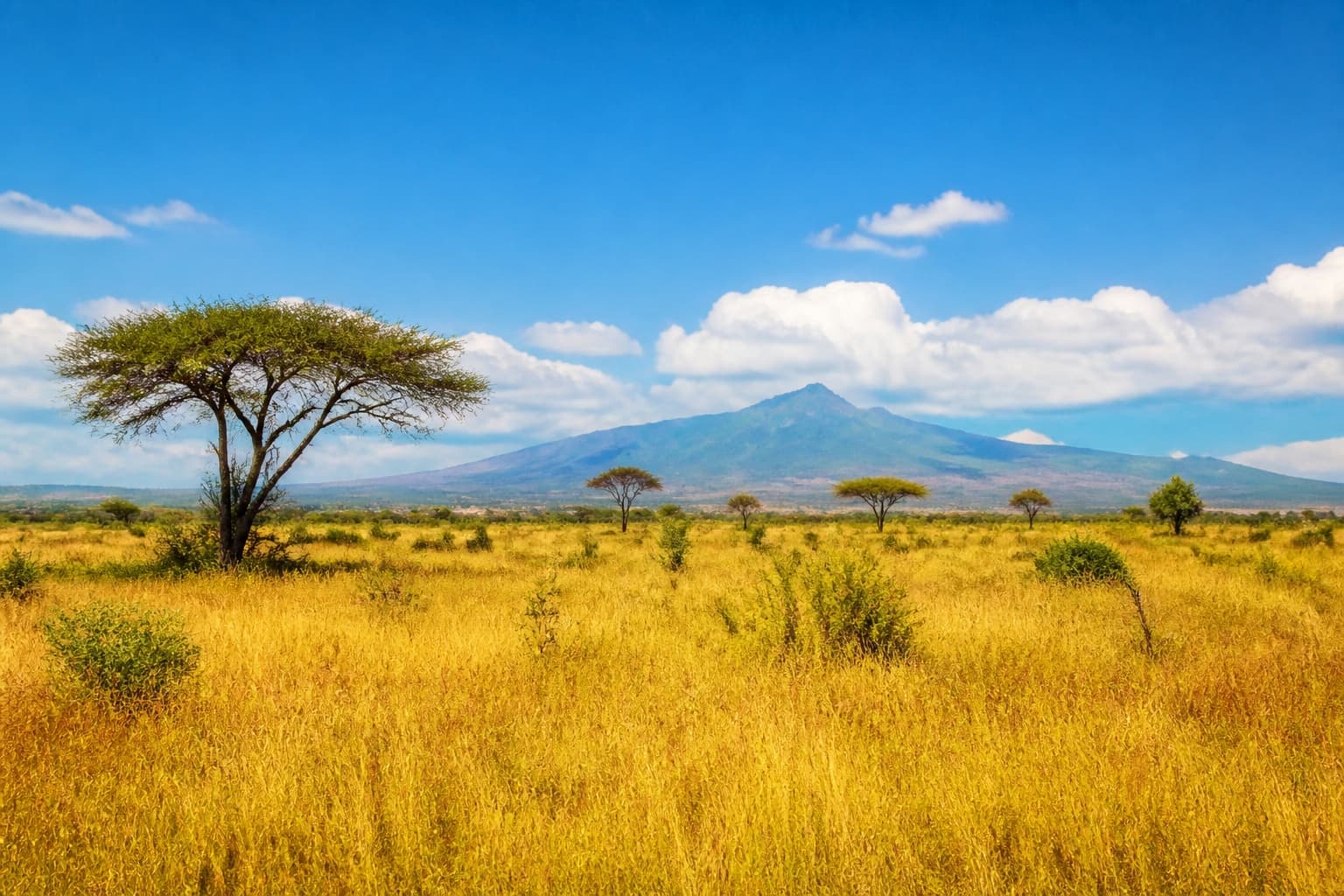 Savane africaine